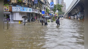 How Scientists Were Coerced To Toe The Govt Line & Clear The Path To Destroy Great Nicobar’s Rainforest 1