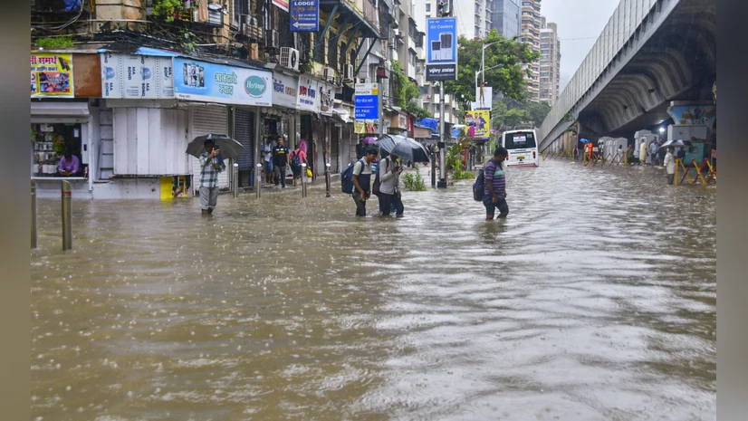 How Scientists Were Coerced To Toe The Govt Line & Clear The Path To Destroy Great Nicobar’s Rainforest