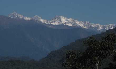 Aarey, Nicobar to Namdapha: Development marches on, forests and wildlife pay the price