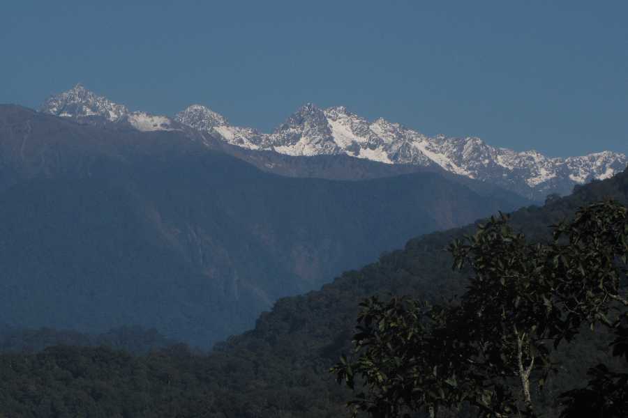 Aarey, Nicobar to Namdapha: Development marches on, forests and wildlife pay the price