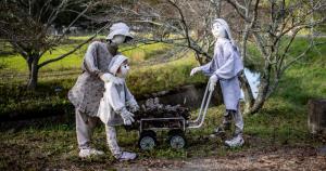 Is population decline good for nature? Japan shows that may not be the case 1