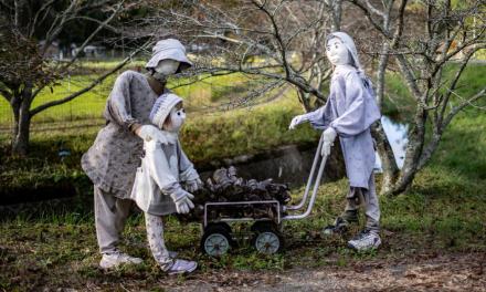 Is population decline good for nature? Japan shows that may not be the case