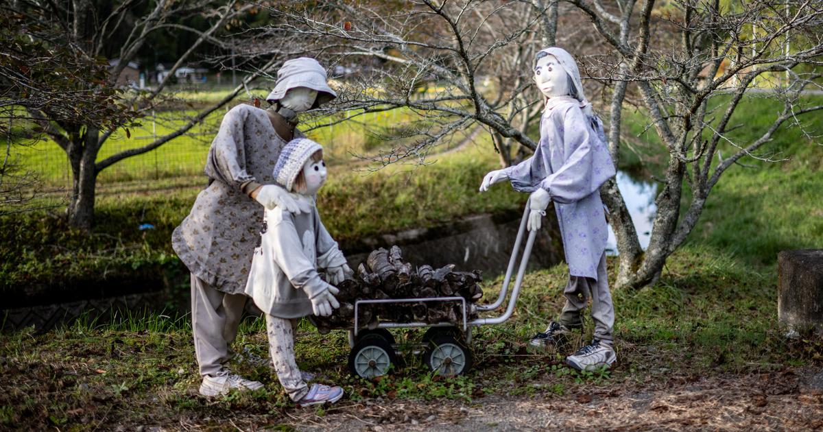 Is population decline good for nature? Japan shows that may not be the case