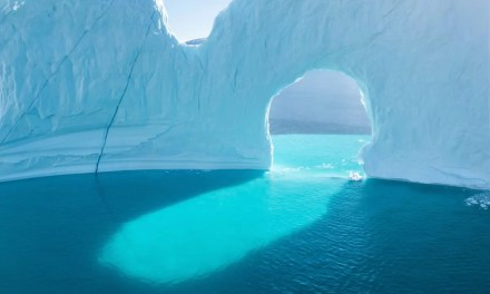 Overheating oceans: Have we reached a climate tipping point?