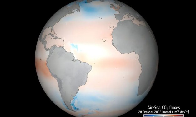 Satellites reveal how oceans absorb carbon in unprecedented detail