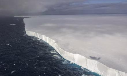 Antarctic water is dramatically getting saltier. It’s not good news