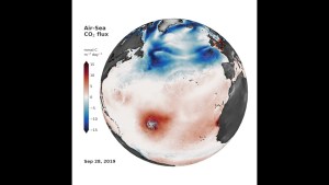 Your Food Packaging Is Shedding Microplastics Into Every Meal, Study Reveals 1