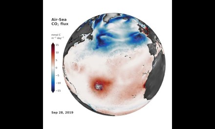 Your Food Packaging Is Shedding Microplastics Into Every Meal, Study Reveals