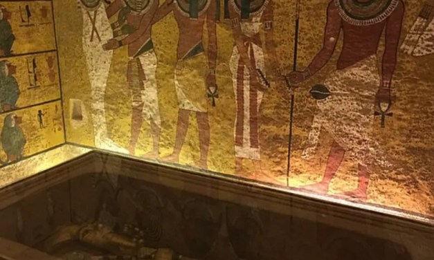 Fungus in King Tutankhamun’s tomb killed dozens. It could now cure cancer