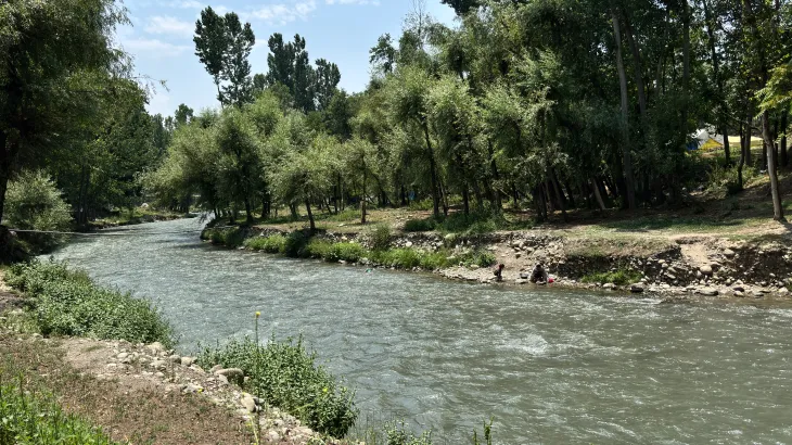 Otters spotted in Kashmir waters, and residents are both thrilled and wary