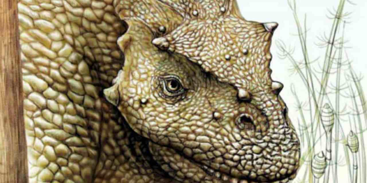 New Species of Permian Pareiasaur Found in China Unlocks Secrets of Ancient Earth’s Herbivores!