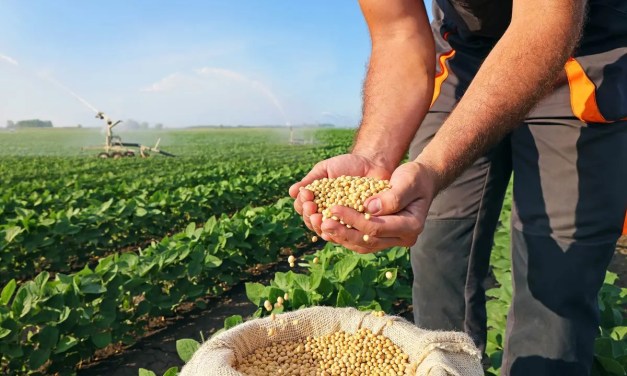 This cheap metal could be the key to growing stronger and healthier crops