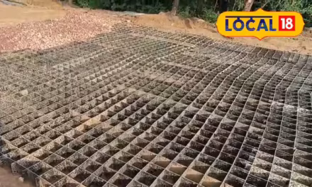 World’s First Plastic Road In Delhi: What Is Geocell Technology?