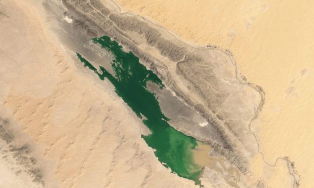 The Sahara desert, green? NASA is monitoring an enigmatic phenomenon