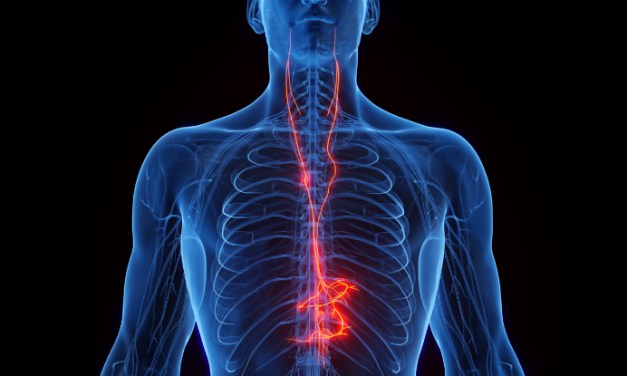 An Extra Sense May Connect Gut Bacteria With Our Brain