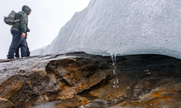 Temperatures and Carbon Emissions Continue to Rise