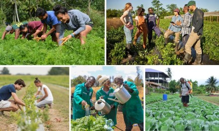 Youth Farming Programs Around the World