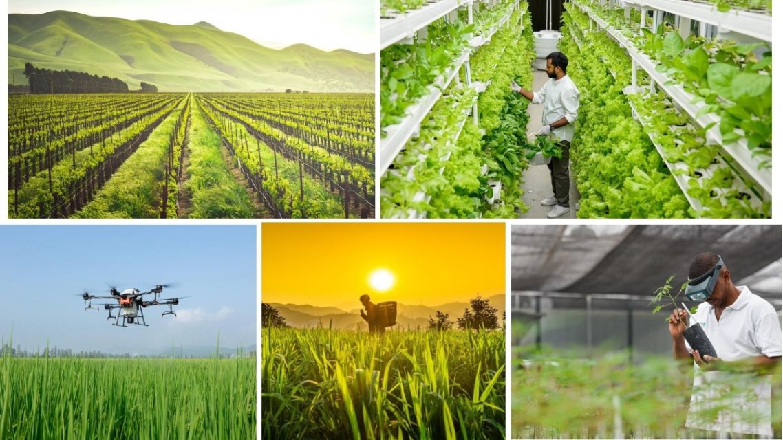 Agricultural Innovations from India