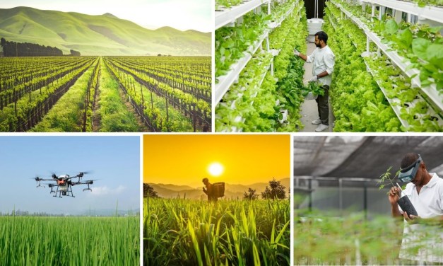 Agricultural Innovations from India