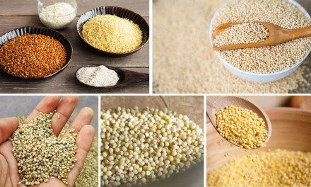 Countries That Grow the Most Millet