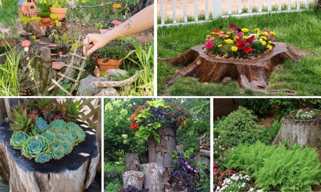 5 Tree Stump Flower Bed Transformations
