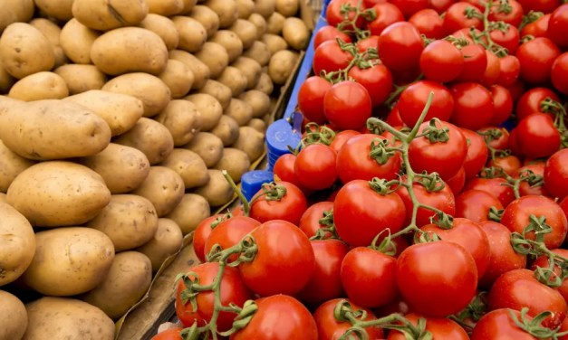Tomatoes randomly mated with another plant 9 million years ago. The result? Potatoes.