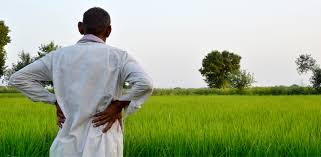 Govt cannot compensate for losses, farmers should get used to hardship: Pasha Patel