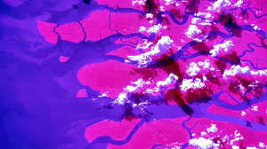 Nasa astronaut shares picture of mighty Ganga river delta taken from space