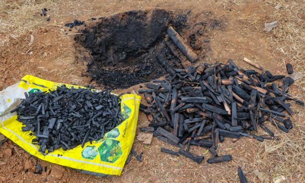 What is the potential of biochar? | Explained