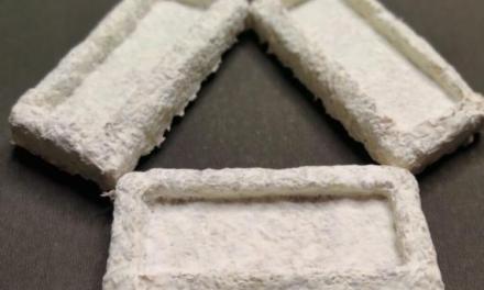 IIT Madras Researchers develop Agriculture Waste-based Packaging Materials that can eliminate Plastic Use