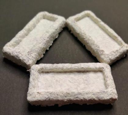 IIT Madras Researchers develop Agriculture Waste-based Packaging Materials that can eliminate Plastic Use