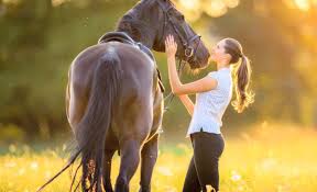 Horse DNA reveals how humans bred calm animals