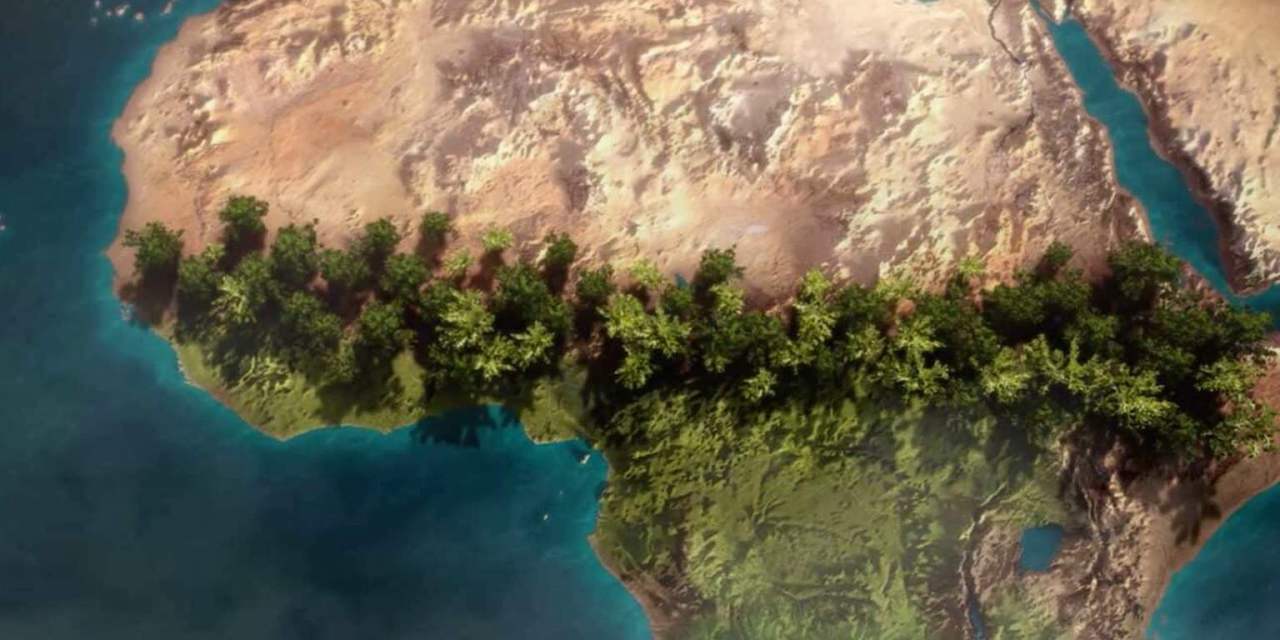 Africa leads a historic green movement: 8,000 kilometers, 11 countries, and 100 billion trees transforming the continent