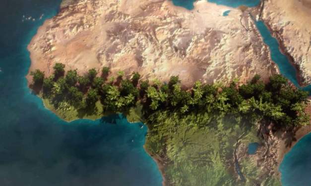 Africa leads a historic green movement: 8,000 kilometers, 11 countries, and 100 billion trees transforming the continent