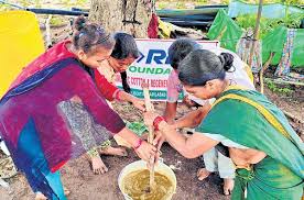 ‘Sweet’ alternative to chemical manure