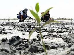 Global water crisis: Top 7 countries with the highest water scarcity