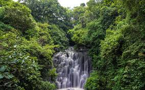 AQI under 30: 12 cities in India with the lowest AQI right now