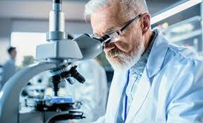 Intelligence peaks much later in life than we expected