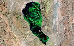 What’s Behind the Dark Green Waters of Pyramid Lake, A Rare Event Is Transforming It