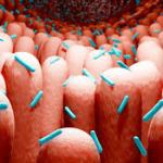 New life forms found in the human body, discovery described by scientists as ‘insane’