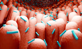 New life forms found in the human body, discovery described by scientists as ‘insane’