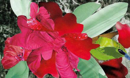 For children: In the Himalayas, Quillo, a baby hedgehog and Loni, a vegan wolf, go looking for a yak