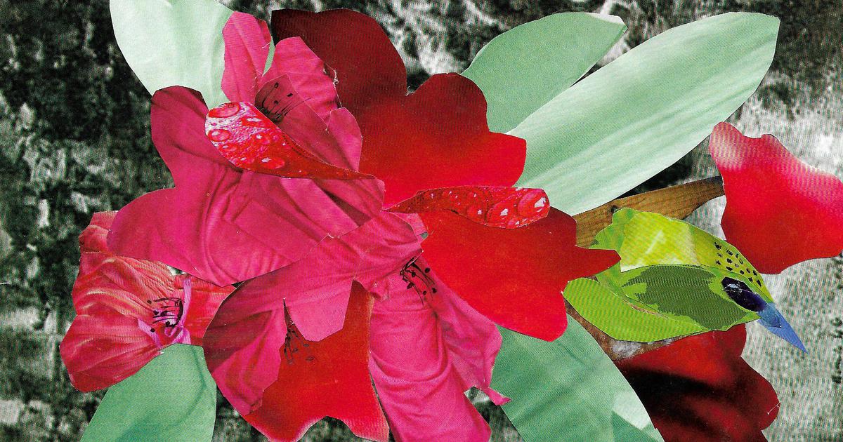 For children: In the Himalayas, Quillo, a baby hedgehog and Loni, a vegan wolf, go looking for a yak