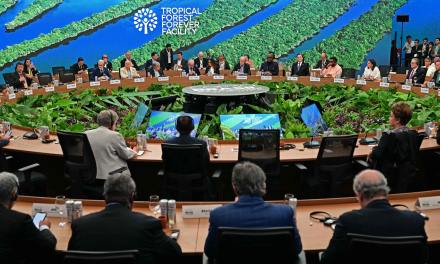 The ecological civilization logic behind China’s green transformation