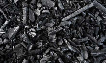 Biochar made from wood hits steel-level strength in sustainable materials feat