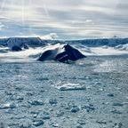 Satellite images reveal the fastest Antarctic glacier retreat ever