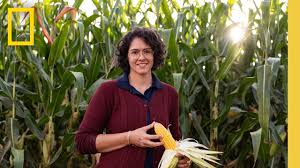 Farmers in Brazil are restoring biodiversity to grow resilient crops 2