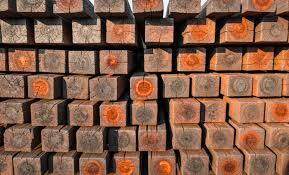 Say Goodbye to Steel: U.S. Scientists Engineered a “Superwood” That’s Lighter, Stronger, and Eco-Friendly