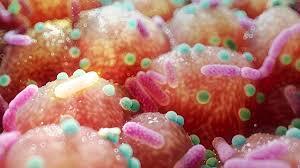 Parkinson’s Link to Gut Bacteria Suggests Unexpectedly Simple Treatment