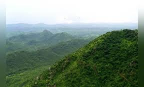 Aravalli row: Why a 100-metre rule has triggered a mountain of concerns